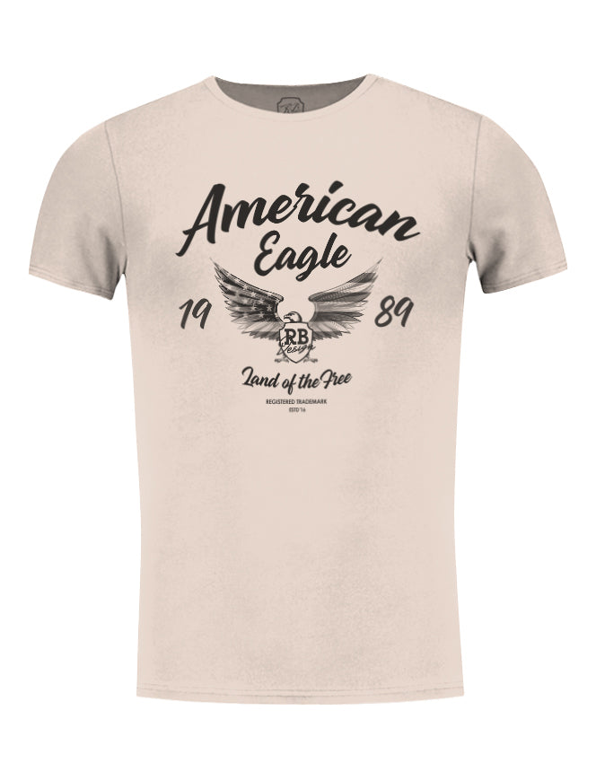 Mens T-shirt American Eagle | Khaki, Beige, Gray Scoop Crew Neck Tees – RB  Design Store