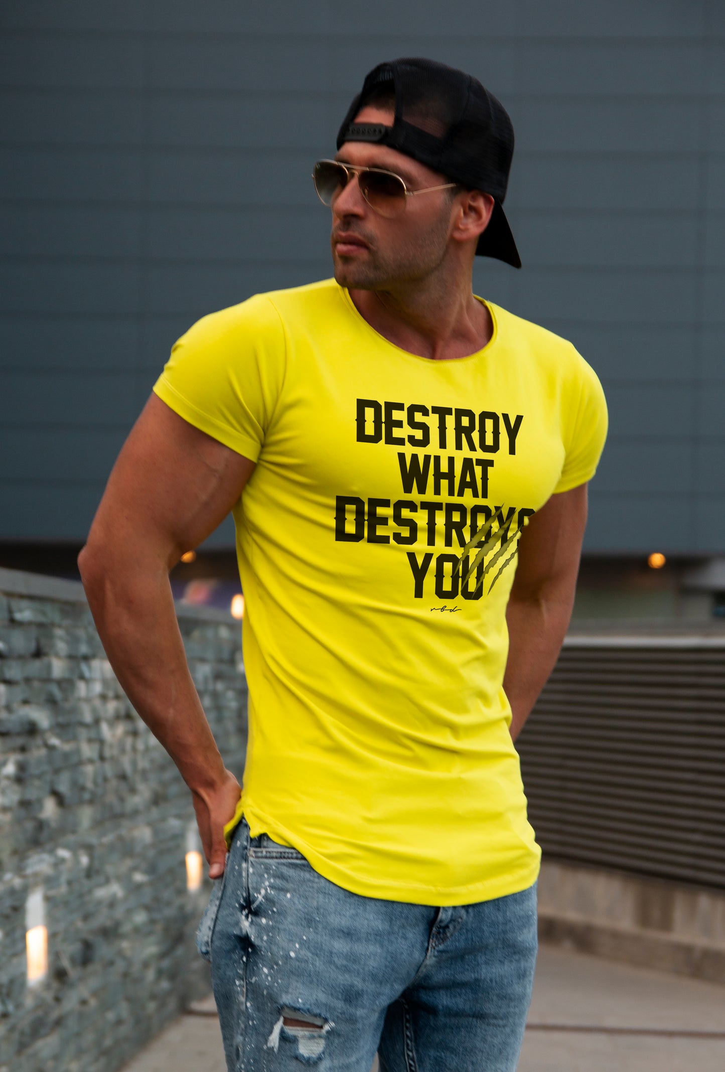 Men's T-shirt "Destroy What Destroys You" MD980